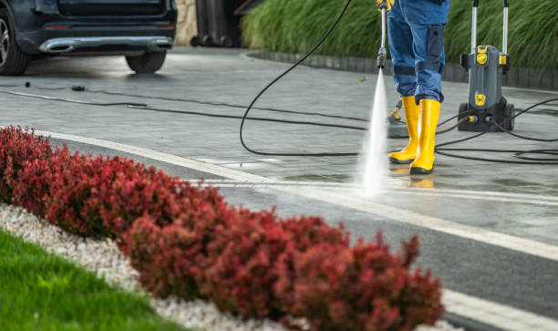 Best Pool Deck Cleaning  in Napili Honokowai, HI